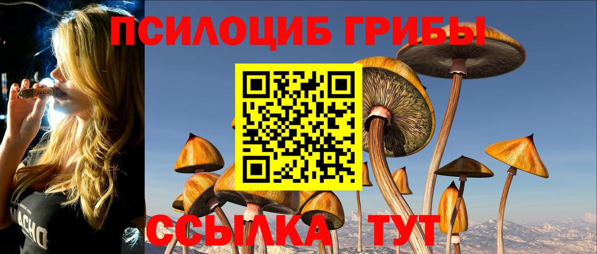 Псилоцибиновые грибы Psilocybe  Галлюциногенные грибы Magic Shrooms  Вход с VPN  Гулькевичи 